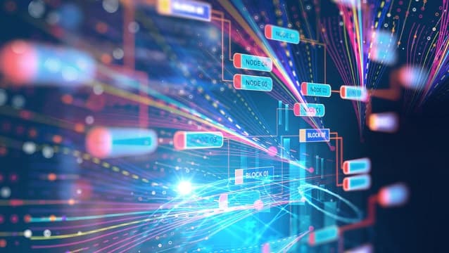 Insights Into Software Architecture